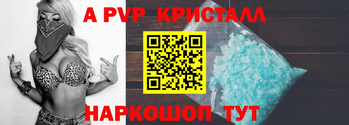 Альфа ПВП СК Моздок