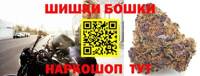 apvp Гатчина
