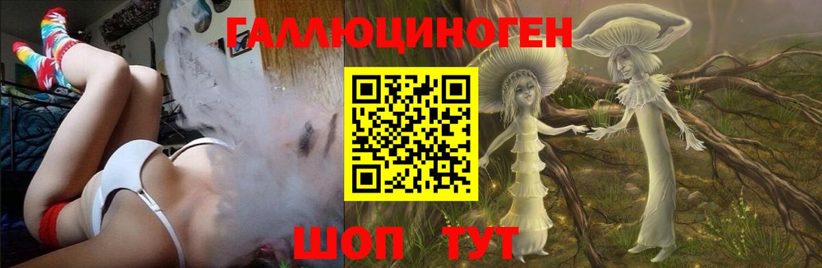 Псилоцибиновые грибы MAGIC MUSHROOMS  Вход с VPN  Галлюциногенные грибы прущие грибы  Моздок 